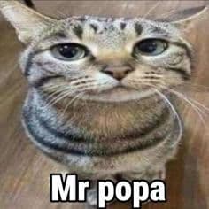 llmui