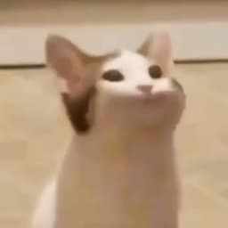 Tobeb
