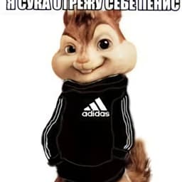 sipa