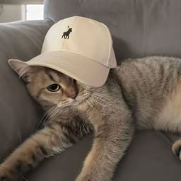 ktaaaR