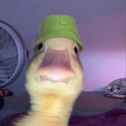 FINDUXTER