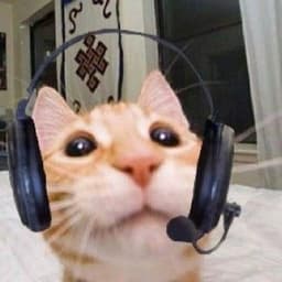 pipi2K-