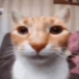 MrCoOkie000