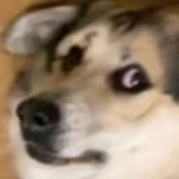 BuHHu_nYIII