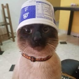 riskosvk999