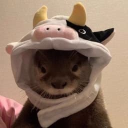 kaah-