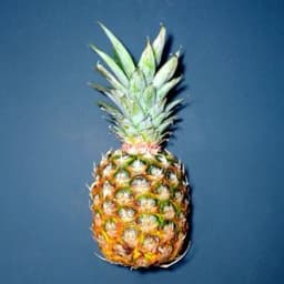 Pineapple_am