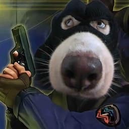 ShowDicker1
