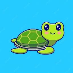 TurtlePeek2