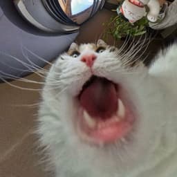 Mer3en