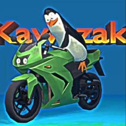 KAVASSSAKII