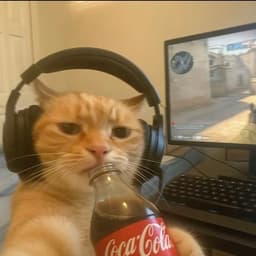 CATSTROW