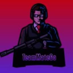 TeamMateGo