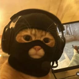 _QBiG_