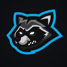 43Raccoon