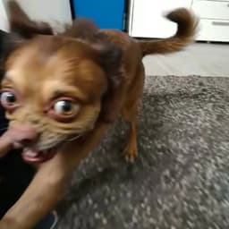 KeRNi_xD