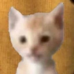 WayderTM