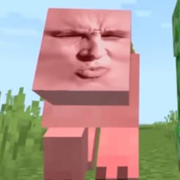 Twiksop