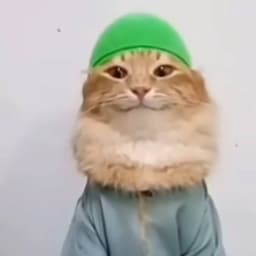 SHn_yK