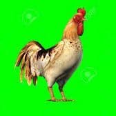 OofImAborted