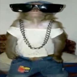 dawkaxd
