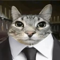 werrrrr2