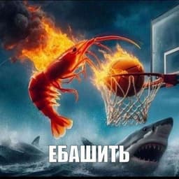 JeaI0usy