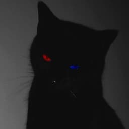 SirGatitou
