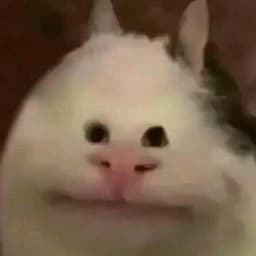 HerpesCreme