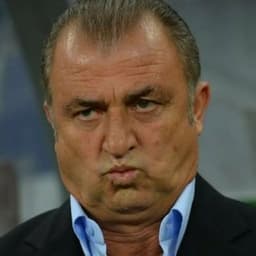 fatosterim31