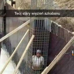 majewski12