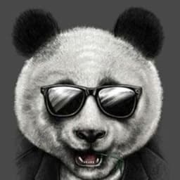 suc_cub