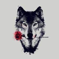 Wolf3ree