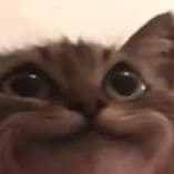 kama_fps