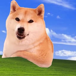 WashMaButt0