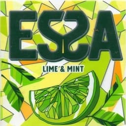 Essecce