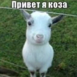 Nerly_YT