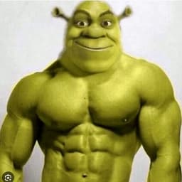L4fv