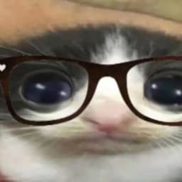 GoEbatMom