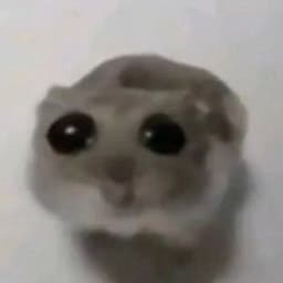 T_B