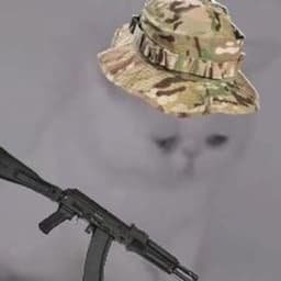 cs_zaebala