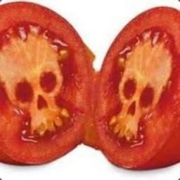 ArnoNyhm