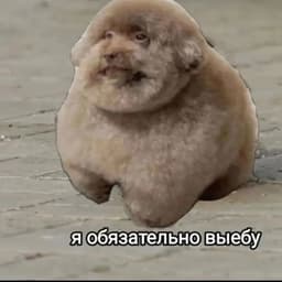 -Hoolax
