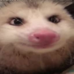 cypr00