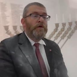 Braunista