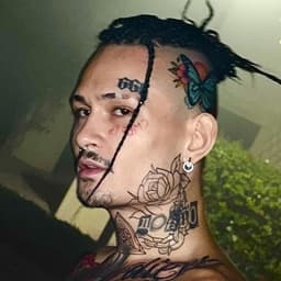 poddon2