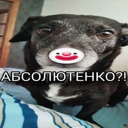 rokk1_p0