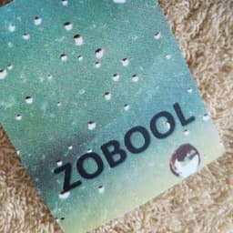 Zobool
