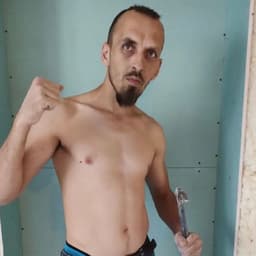 Domisiak4