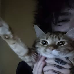 shawnyakk